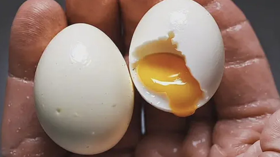 Proteína de Clara de Huevo